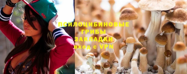 амф Богородицк