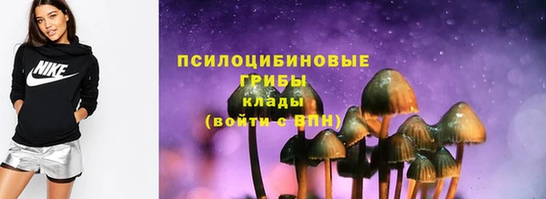 амф Богородицк