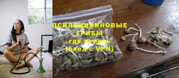 сатива Богданович