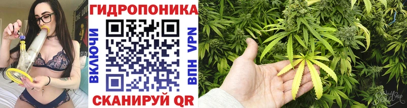 Бошки марихуана SATIVA & INDICA Старица